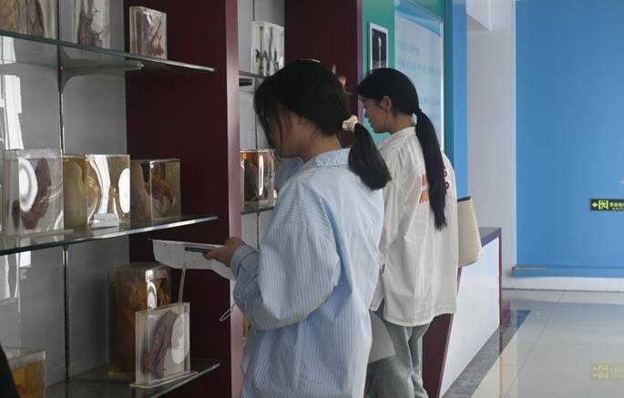 QQ图片20250509220059